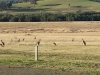 20160722_161355