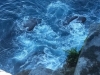 20130810_150018