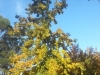 20140526_152448