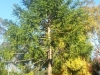 20140526_153104