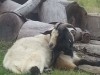 20140527_135734