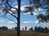 20140528_114320