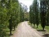 b-driveway
