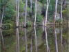 b-treereflection