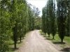 b-driveway