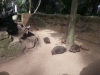 20130831_134149