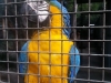 20130831_153227