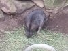 20130831_135140
