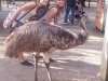 20130831_160052