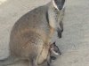 20130831_161803_1