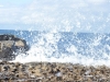 _DSC0039_comp