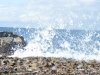 _DSC0039_comp