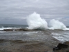 DSC_0214.jpg