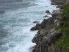 DSC_0160.jpg