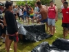 summercamp06