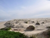 comp_DSC0054