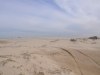 comp__DSC0068