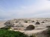 comp_DSC0054